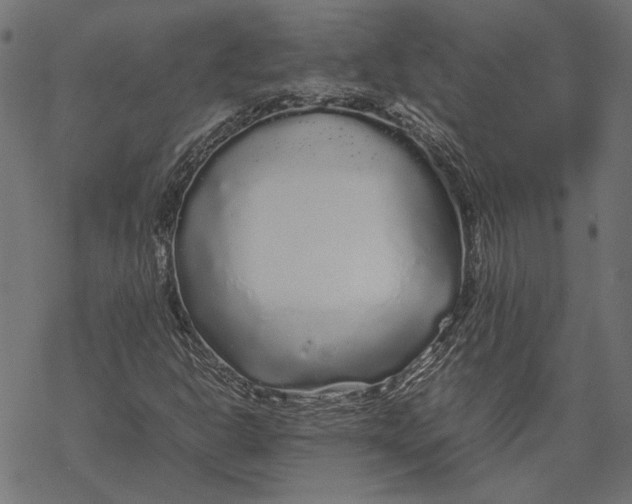 X0000067911302200605041633