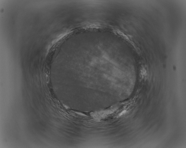 X0000067911303200605041633