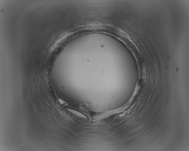 X0000067911304200605041633