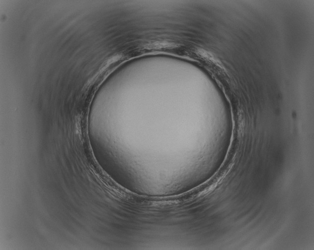 X0000067911305200605041633