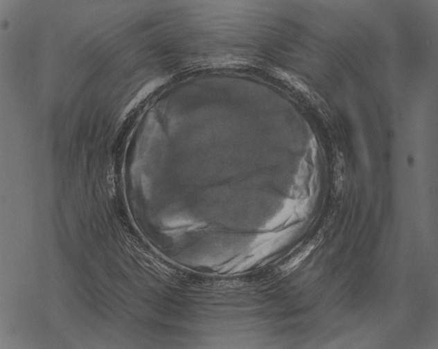 X0000067911306200605041633