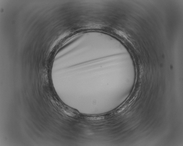 X0000067911307200605041633