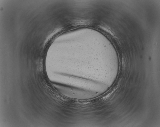 X0000067911309200605041633