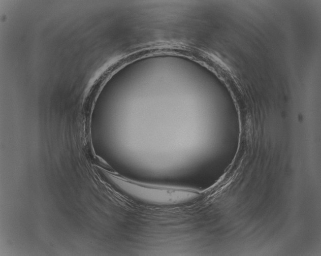 X0000067911310200605041633