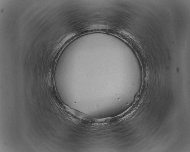 X0000067911313200605041633