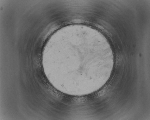 X0000067911314200605041633