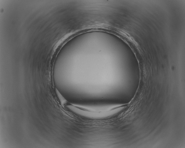 X0000067911316200605041633