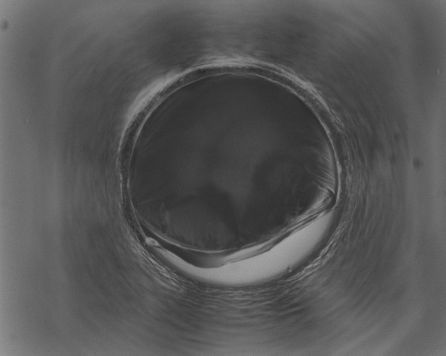 X0000067911319200605041633