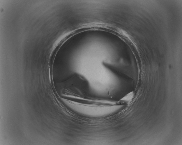 X0000067911320200605041633