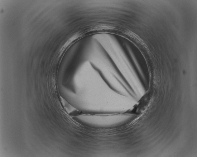 X0000067911321200605041633