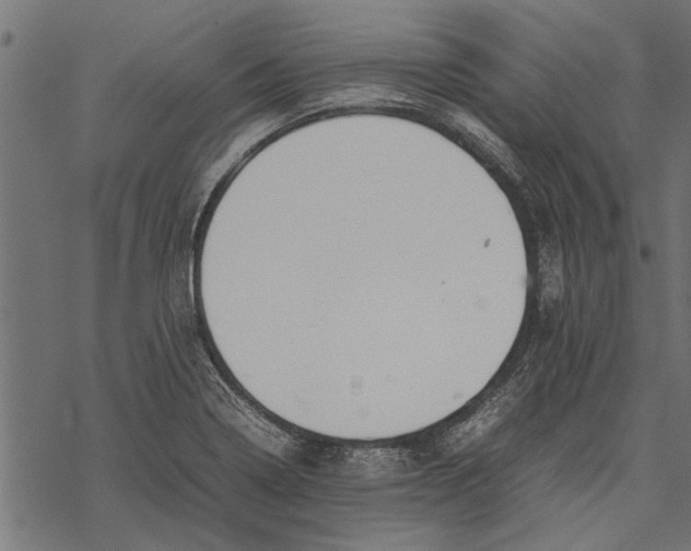 X0000067911322200605041633