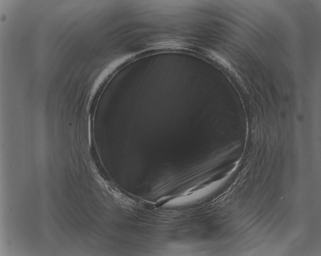 X0000067911323200605041633