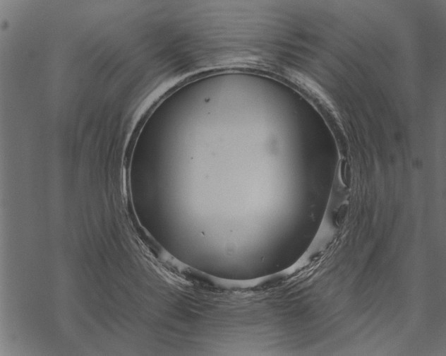 X0000067911324200605041633