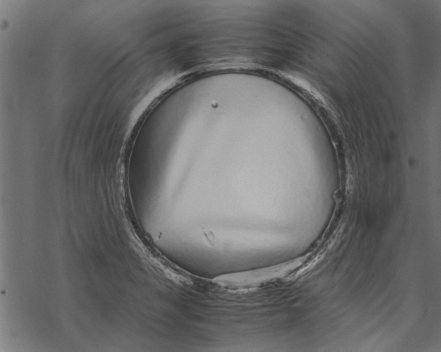 X0000067911325200605041633