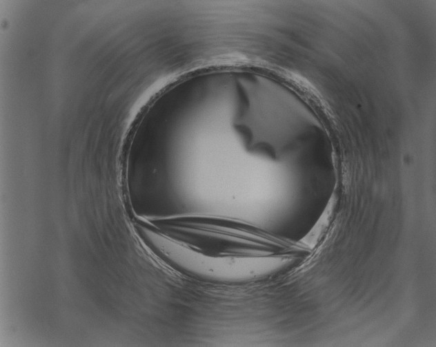 X0000067911326200605041633