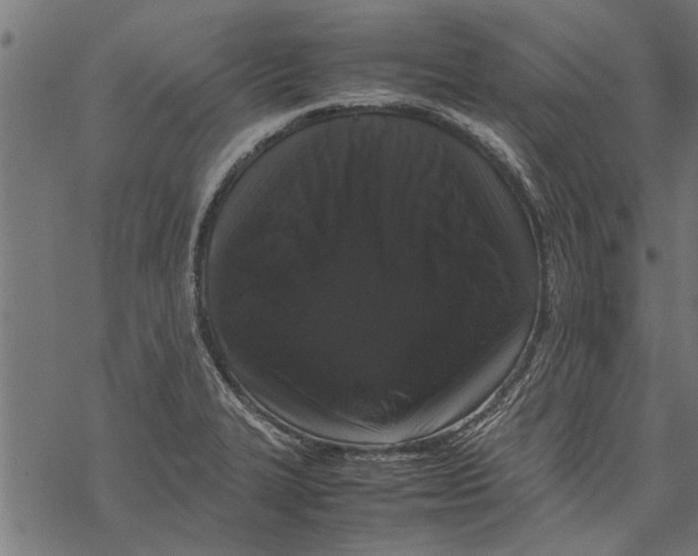 X0000067911327200605041633