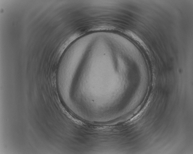 X0000067911329200605041633