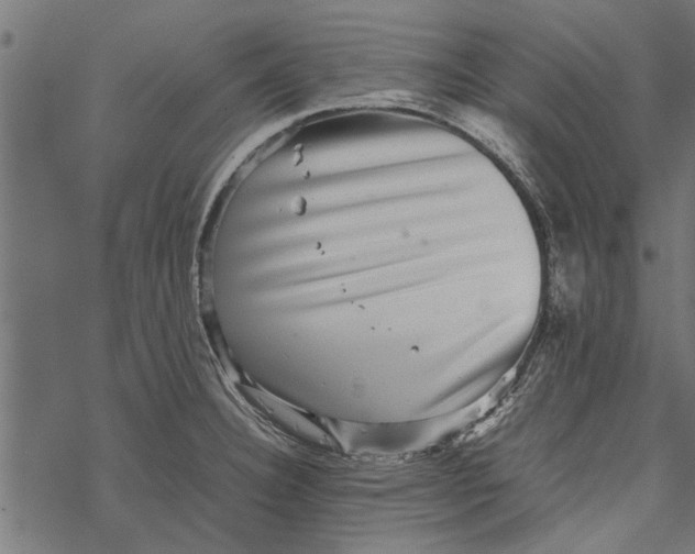 X0000067911332200605041633