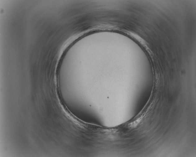 X0000067911335200605041633