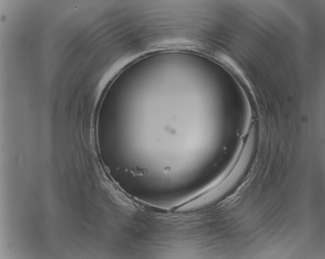 X0000067911336200605041633