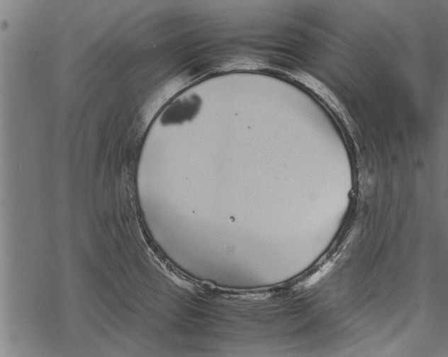 X0000067911337200605041633