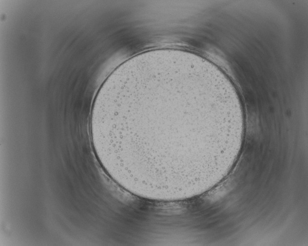 X0000067911338200605041633