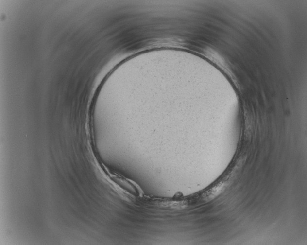 X0000067911339200605041633