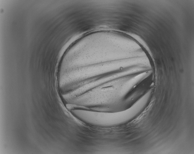 X0000067911341200605041634