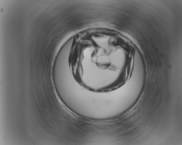 X0000067911342200605041634