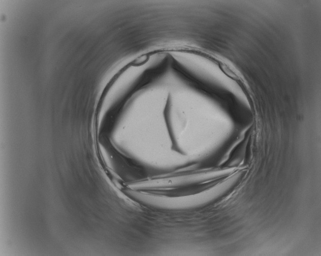 X0000067911343200605041634