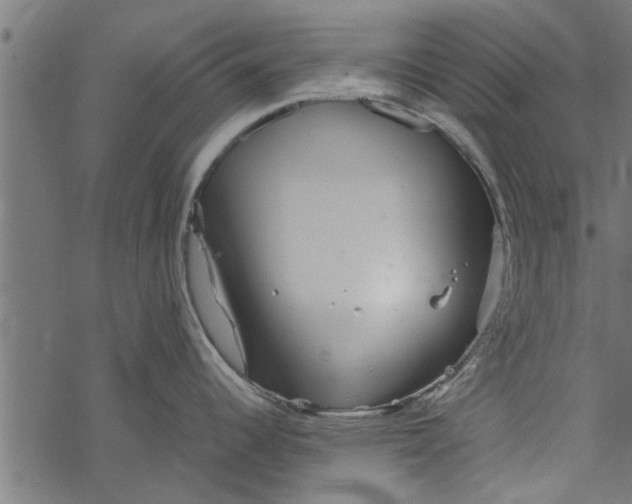 X0000067911344200605041634