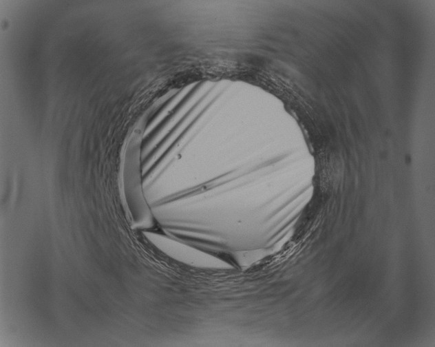 X0000067911345200605041633