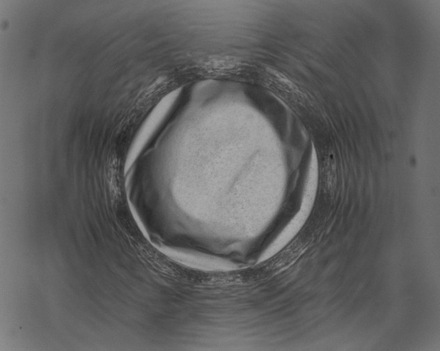 X0000067911346200605041633