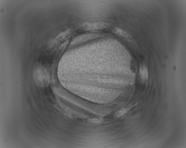 X0000067911348200605041633