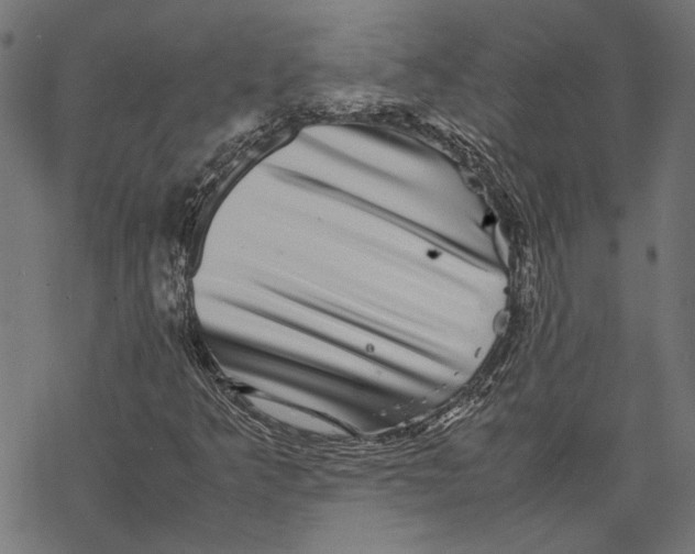 X0000067911349200605041633