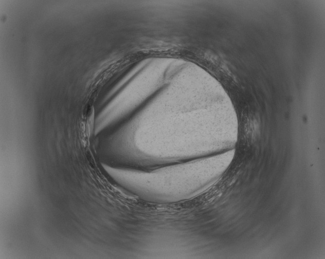 X0000067911350200605041633