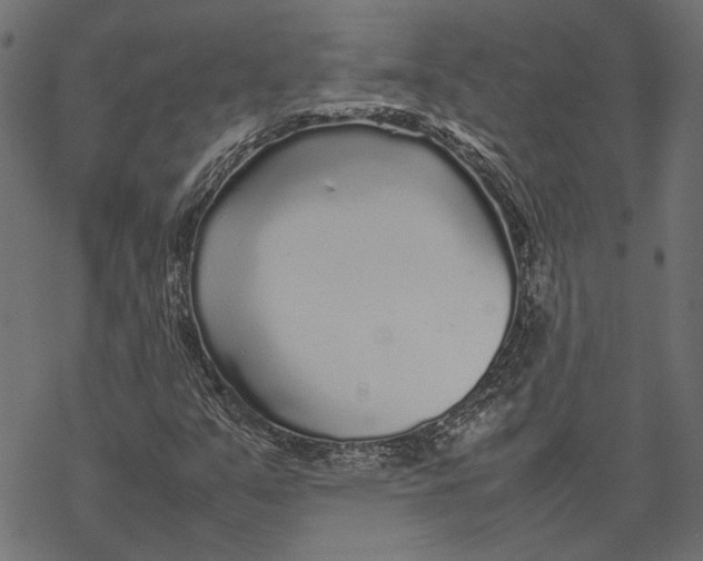 X0000067911351200605041633