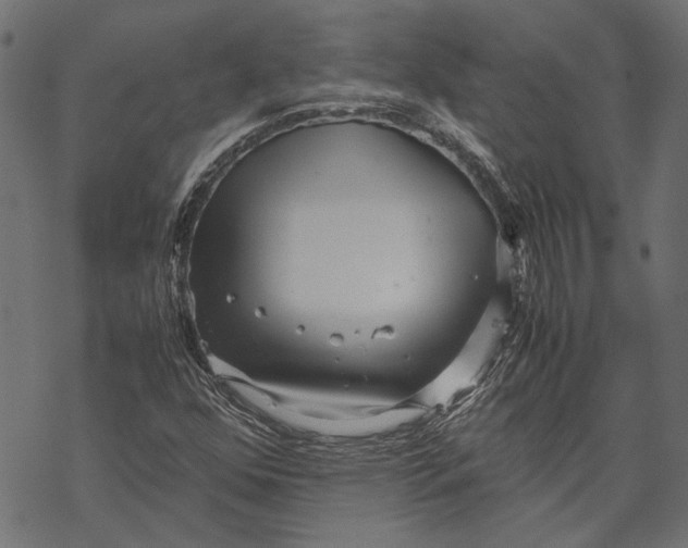 X0000067911352200605041633