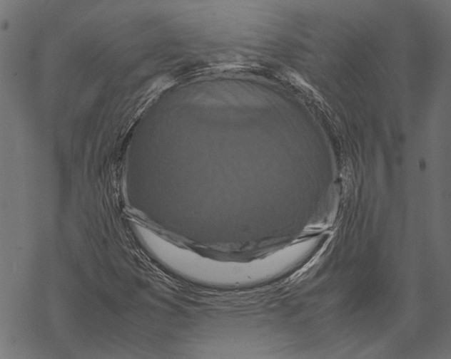 X0000067911353200605041633