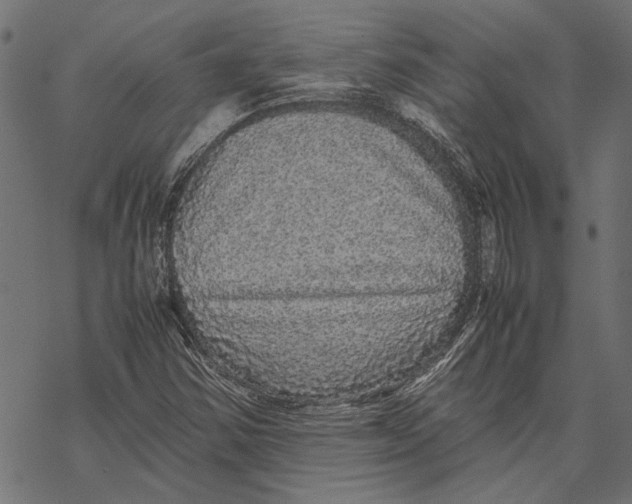 X0000067911354200605041633