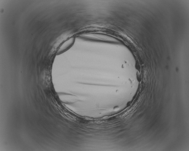 X0000067911355200605041633