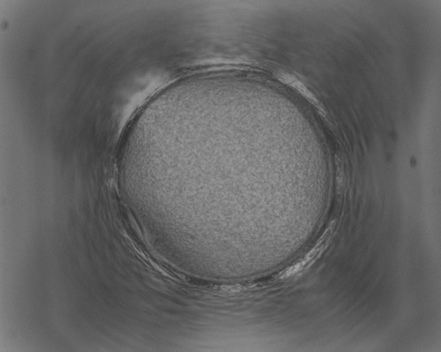 X0000067911357200605041633