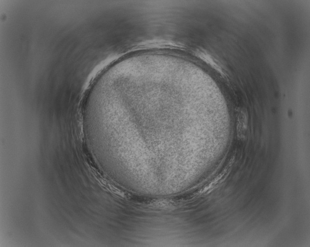 X0000067911358200605041633