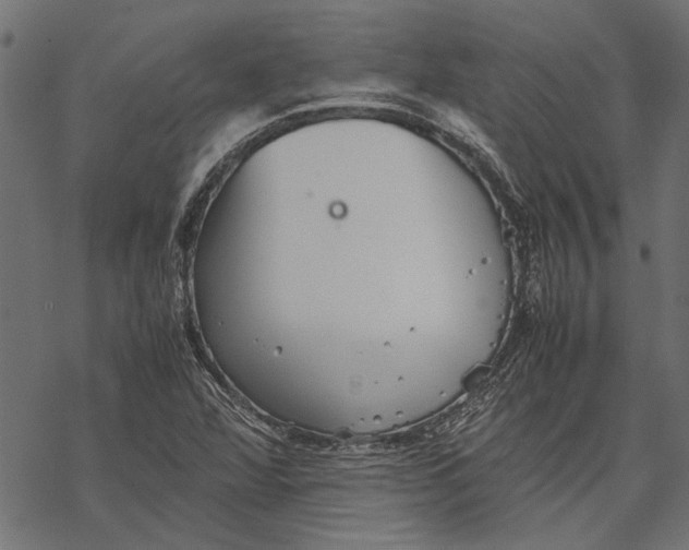 X0000067911360200605041633