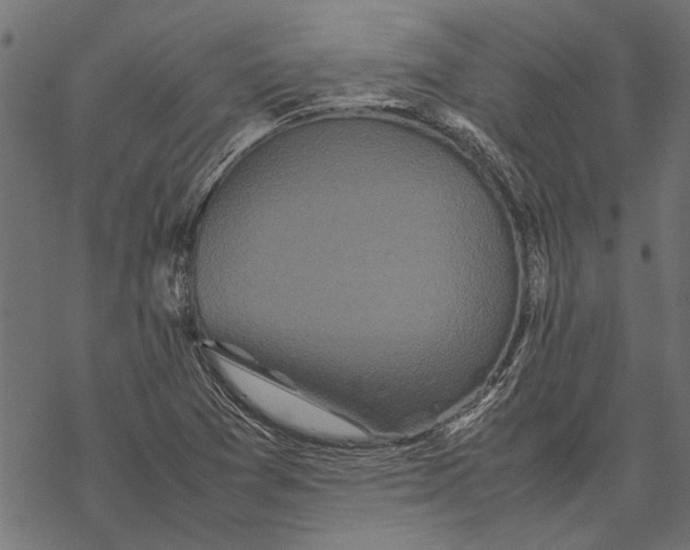 X0000067911361200605041633