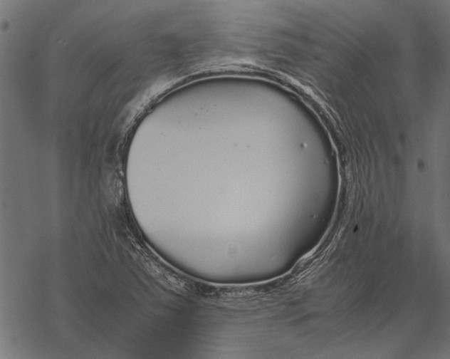 X0000067911363200605041632