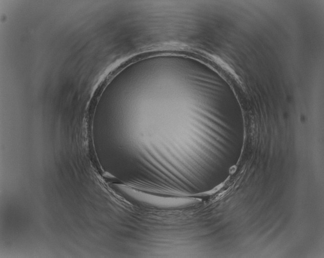 X0000067911364200605041632