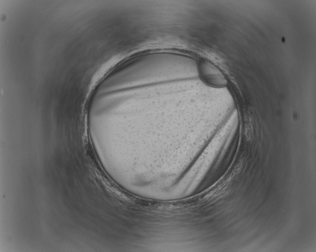 X0000067911366200605041632