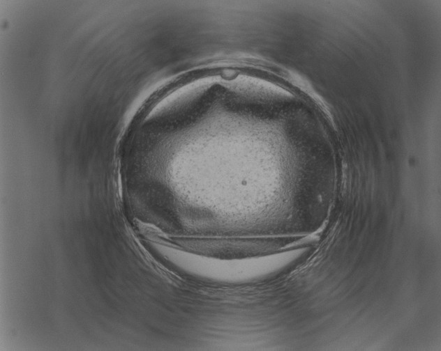 X0000067911368200605041632