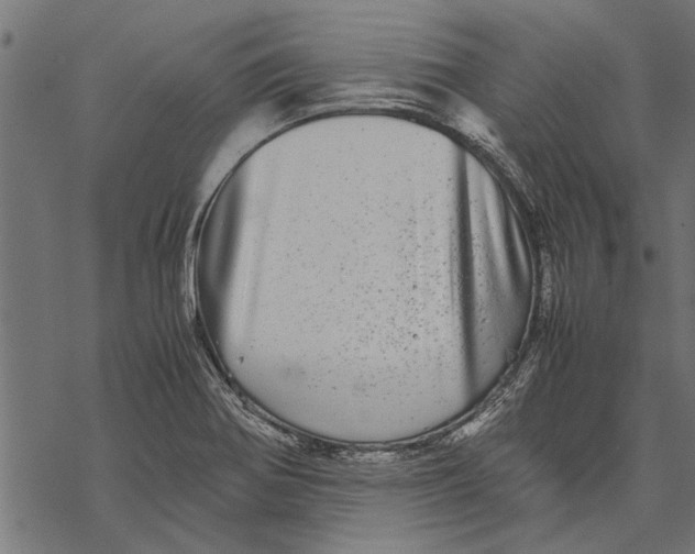 X0000067911370200605041632